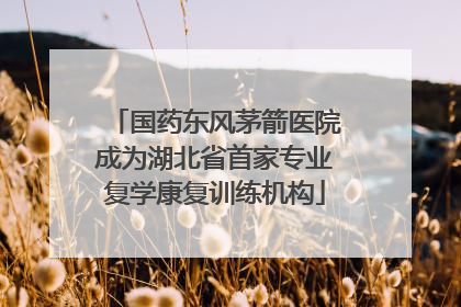 国药东风茅箭医院成为湖北省首家专业复学康复训练机构
