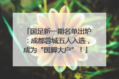 国足新一期名单出炉：成都蓉城五人入选，成为“国脚大户”！