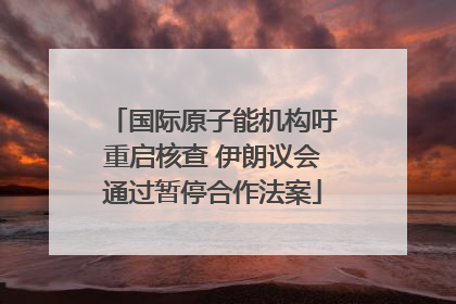 国际原子能机构吁重启核查 伊朗议会通过暂停合作法案