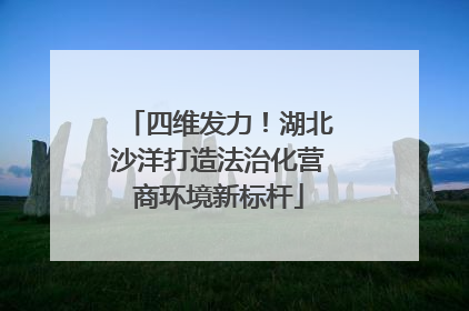 四维发力！湖北沙洋打造法治化营商环境新标杆