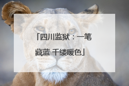 四川监狱：一笔藏蓝 千缕暖色