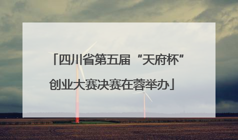 四川省第五届“天府杯”创业大赛决赛在蓉举办