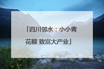 四川邻水：小小青花椒 致富大产业
