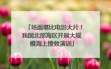 场面堪比电影大片！我国北部海区开展大规模海上搜救演训