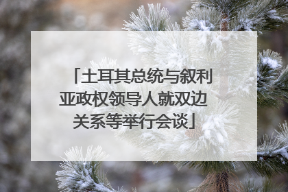 土耳其总统与叙利亚政权领导人就双边关系等举行会谈