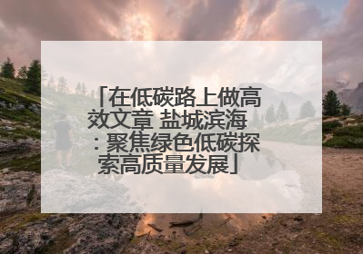 在低碳路上做高效文章 盐城滨海：聚焦绿色低碳探索高质量发展