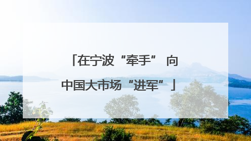 在宁波“牵手” 向中国大市场“进军”