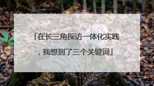 在长三角探访一体化实践，我想到了三个关键词