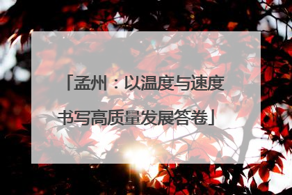 孟州：以温度与速度书写高质量发展答卷