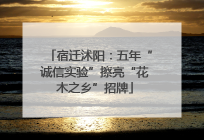 宿迁沭阳：五年“诚信实验”擦亮“花木之乡”招牌