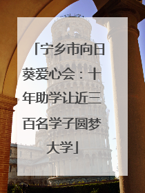 宁乡市向日葵爱心会：十年助学让近三百名学子圆梦大学