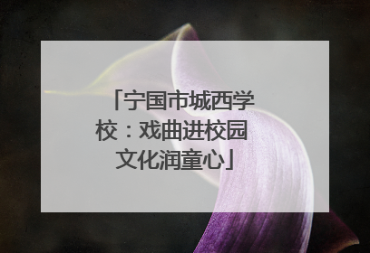 宁国市城西学校：戏曲进校园 文化润童心