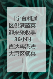 宁夏利通区供港蔬菜迎来采收季 36小时直达粤港澳大湾区餐桌