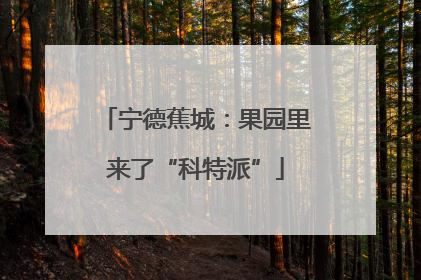 宁德蕉城：果园里来了“科特派”