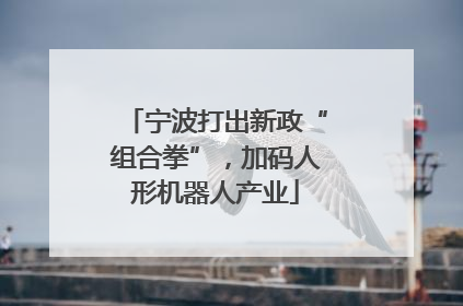 宁波打出新政“组合拳”，加码人形机器人产业