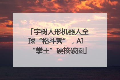 宇树人形机器人全球“格斗秀”，AI“拳王”硬核破圈