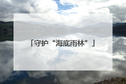 守护“海底雨林”