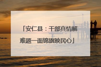 安仁县：干部真情解难题一面锦旗映民心