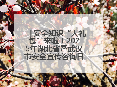 安全知识“大礼包”来啦！2025年湖北省暨武汉市安全宣传咨询日活动在汉举行