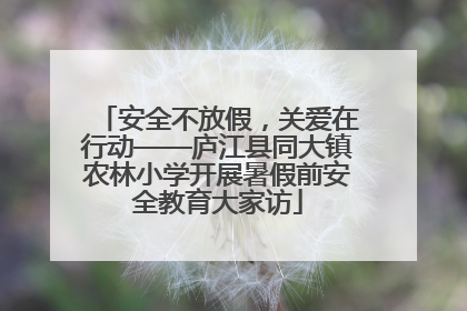 安全不放假，关爱在行动——庐江县同大镇农林小学开展暑假前安全教育大家访