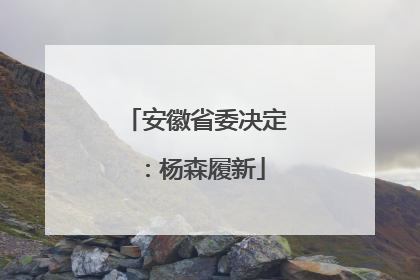 安徽省委决定：杨森履新