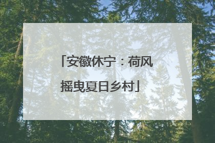 安徽休宁：荷风摇曳夏日乡村