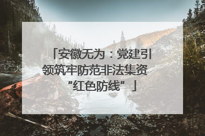 安徽无为：党建引领筑牢防范非法集资“红色防线”