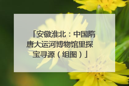 安徽淮北：中国隋唐大运河博物馆里探宝寻源（组图）