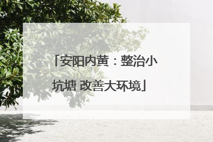 安阳内黄：整治小坑塘 改善大环境