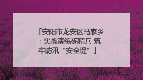 安阳市龙安区马家乡：实战演练砺精兵 筑牢防汛“安全堤”