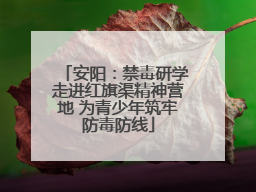 安阳：禁毒研学走进红旗渠精神营地 为青少年筑牢防毒防线