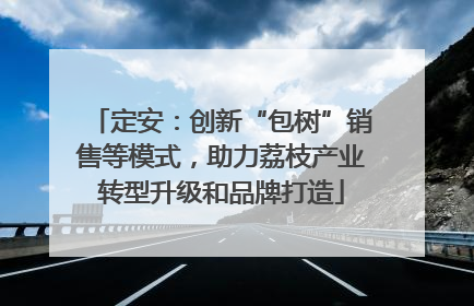定安：创新“包树”销售等模式，助力荔枝产业转型升级和品牌打造
