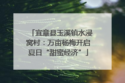 宜章县玉溪镇水浸窝村：万亩杨梅开启夏日“甜蜜经济”