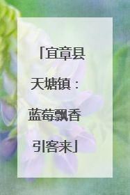 宜章县天塘镇：蓝莓飘香引客来