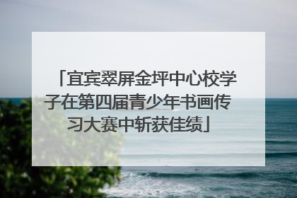 宜宾翠屏金坪中心校学子在第四届青少年书画传习大赛中斩获佳绩