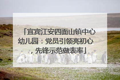 宜宾江安四面山镇中心幼儿园：党员引领亮初心，先锋示范做表率