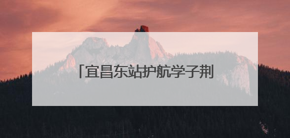 宜昌东站护航学子荆楚研学共赴端午之约