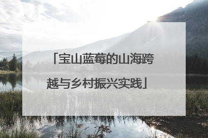 宝山蓝莓的山海跨越与乡村振兴实践