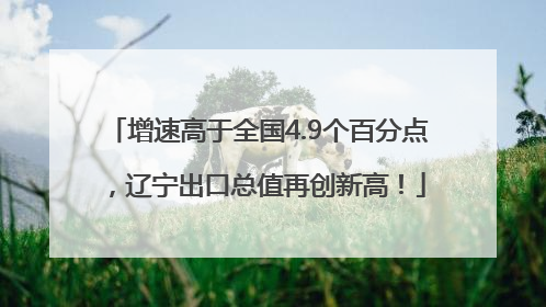 增速高于全国4.9个百分点，辽宁出口总值再创新高！