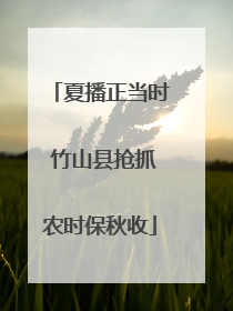 夏播正当时 竹山县抢抓农时保秋收