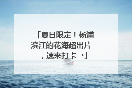夏日限定！杨浦滨江的花海超出片，速来打卡→