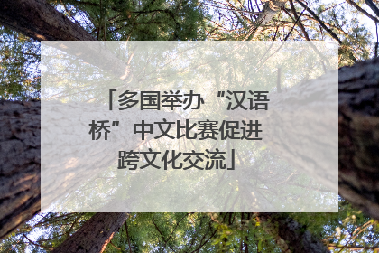 多国举办“汉语桥”中文比赛促进跨文化交流