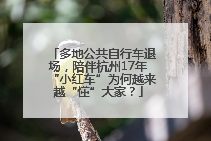 多地公共自行车退场，陪伴杭州17年“小红车”为何越来越“懂”大家？