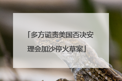 多方谴责美国否决安理会加沙停火草案