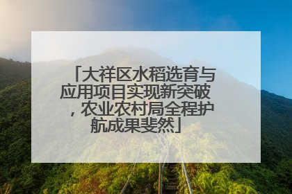 大祥区水稻选育与应用项目实现新突破，农业农村局全程护航成果斐然