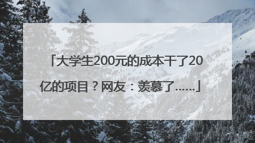 大学生200元的成本干了20亿的项目？网友：羡慕了……