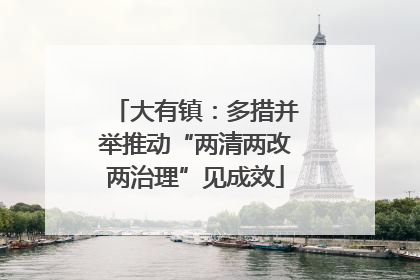 大有镇：多措并举推动“两清两改两治理”见成效