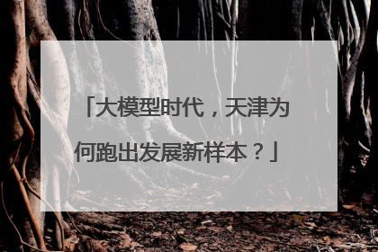 大模型时代，天津为何跑出发展新样本？