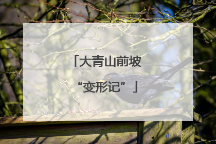 大青山前坡“变形记”