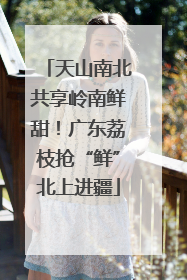 天山南北共享岭南鲜甜！广东荔枝抢“鲜”北上进疆
